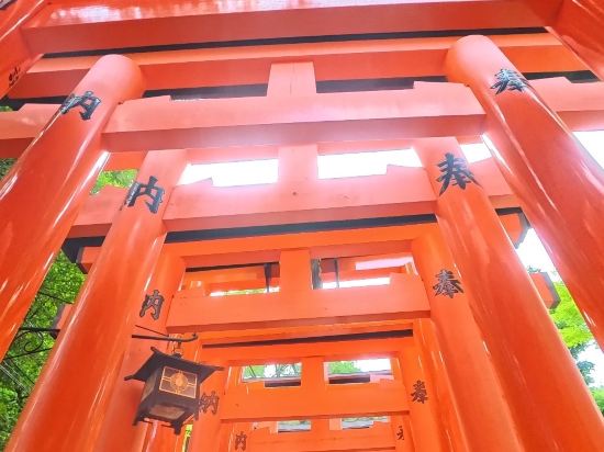 SAKURA TERRACE (サクラテラス) クーポン