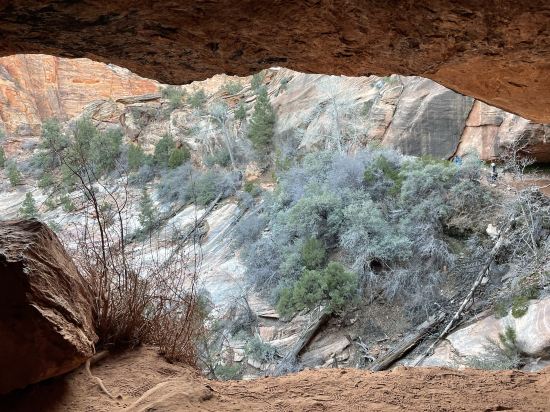 威爾金蓋特威錫安拉奎因塔套房酒店優惠