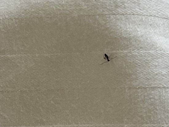 錦江之星風尚（中山石岐大信新都滙店）優惠