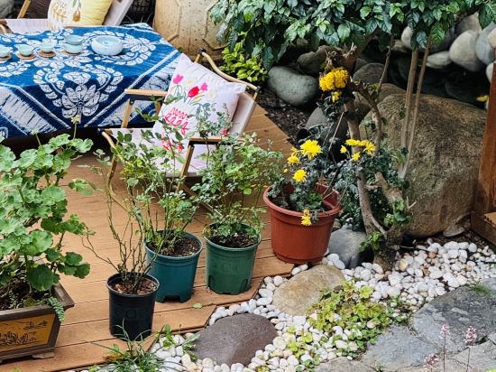 麗江古城瀾舍設計師公館客棧優惠