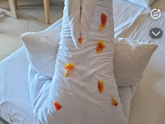 ZYA赫爾格達雷吉娜水上公園度假村優惠