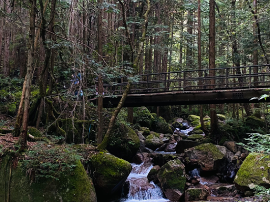 布耶那彼斯特飯店優惠