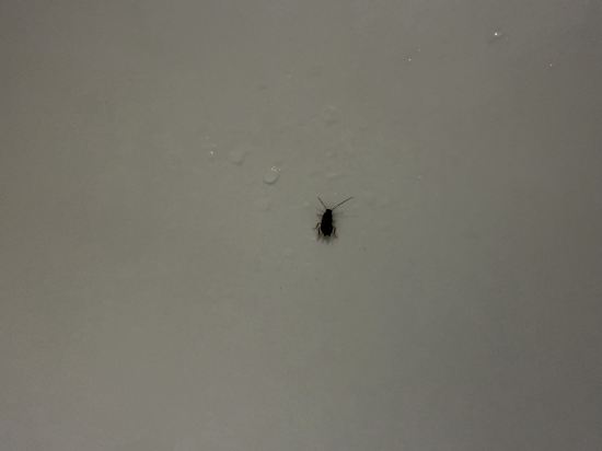 佛山皇冠假日酒店優惠