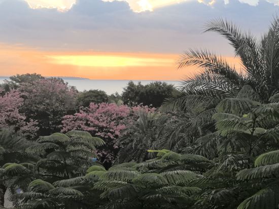 廈門海悅山莊飯店優惠