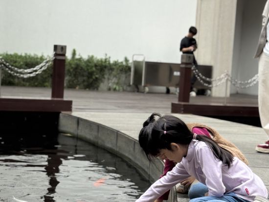 深圳華僑城洲際大酒店優惠