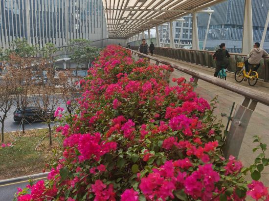 深圳海德酒店優惠