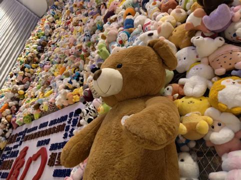 廈門羅約海濱温泉酒店優惠