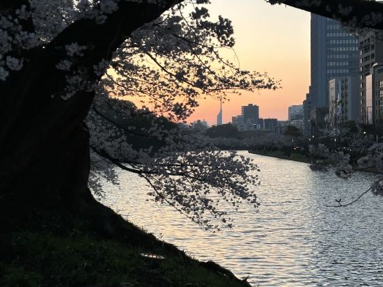 Hotel Nexus HakataSanno クーポン