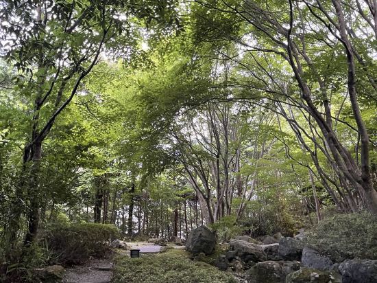 星野集團 界 川治優惠