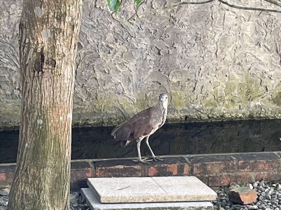 宜蘭三月三旅店優惠