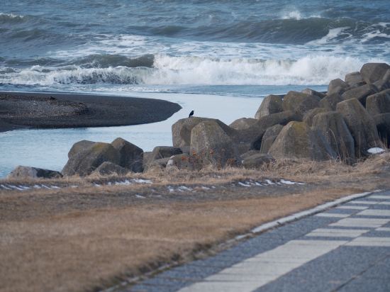 みついし昆布温泉　蔵三 クーポン