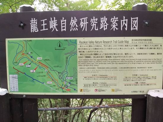 伊東園ホテル ニューさくら クーポン