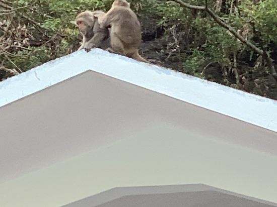 太魯閣天祥青年活動中心優惠