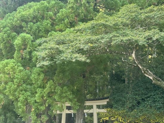 湯快リゾート 南紀勝浦温泉 越之湯〈プレミアム〉 クーポン