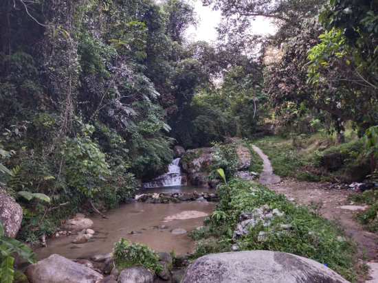 檳城峇六拜無花果度假村優惠