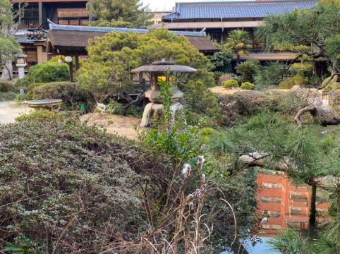 大丸別荘 クーポン