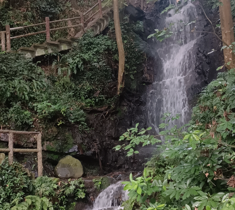 博凱西湖酒店（杭州湖濱店）優惠