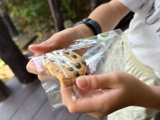 珠海橫琴星樂度露營小鎮優惠