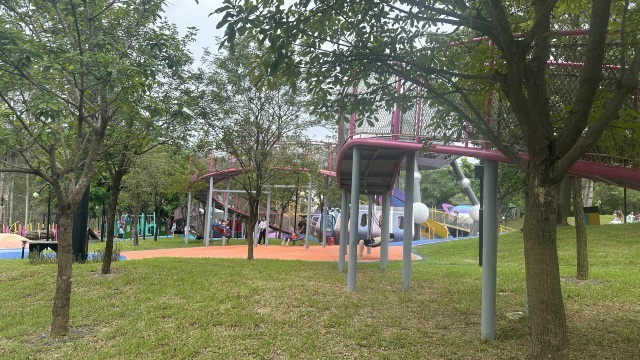 review picture