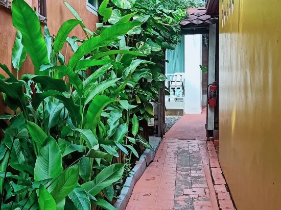 長美之家住宿加早餐旅館（小村子）優惠