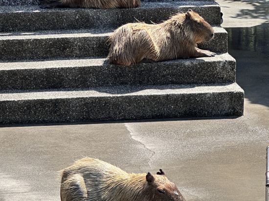 宜蘭綠舞國際觀光飯店優惠