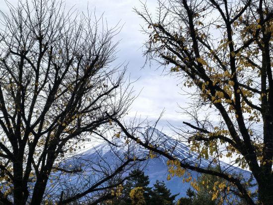 海蘭德水療度假酒店優惠