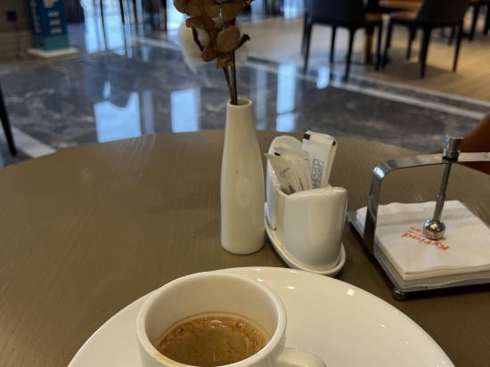 凱里亞德酒店（惠州博羅園洲店）優惠