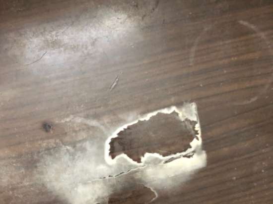 臺中富帝大飯店優惠