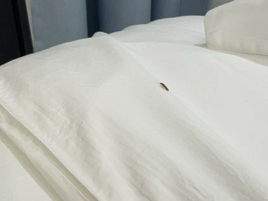 康富美來度假公寓（陵水富力灣店）優惠