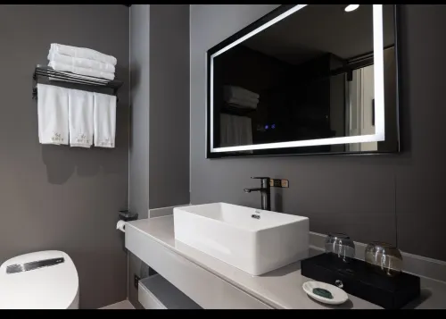 柏曼飯店（三亞鳳凰機場店） 房間 Photos