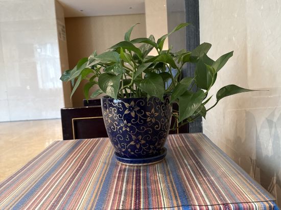 大理洱海龍灣假日飯店優惠