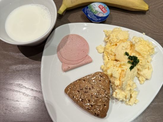 法蘭克福展覽館普勒米爾旅館優惠