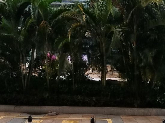 五緣度四季精品公寓（廈門高崎機場店）優惠