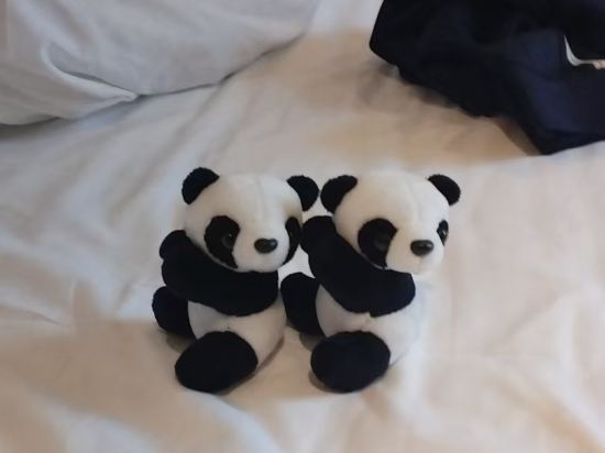 四川錦江賓館優惠