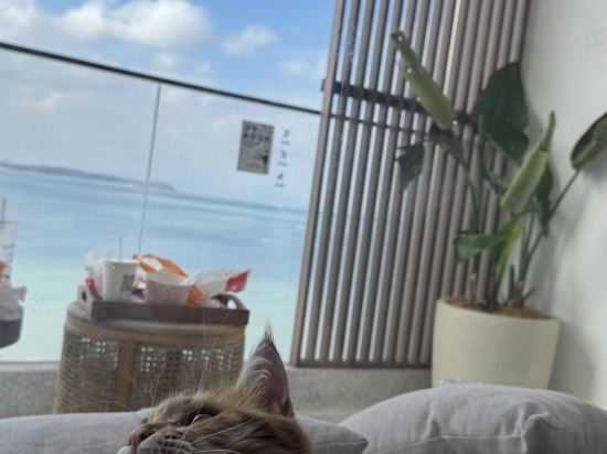 深圳INNOBAY楹諾·小半灣民宿優惠