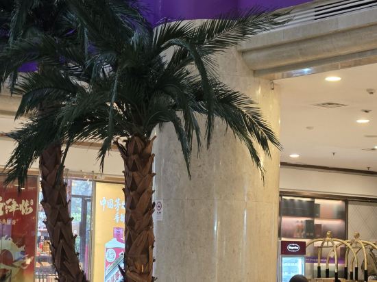 杭州維景國際大飯店優惠