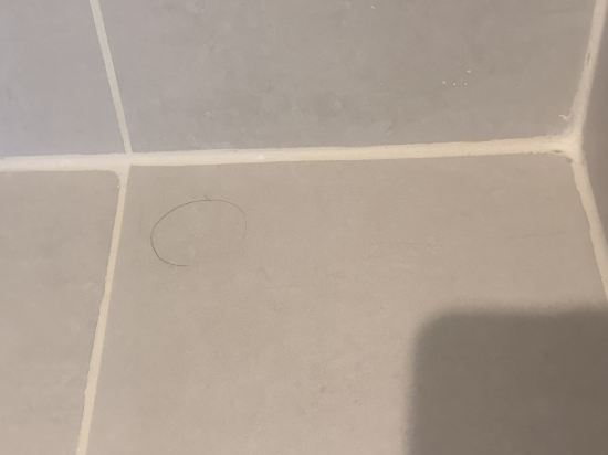 西貢中心鉑爾曼酒店優惠