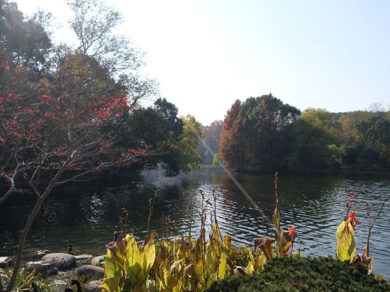 上海西郊賓館優惠