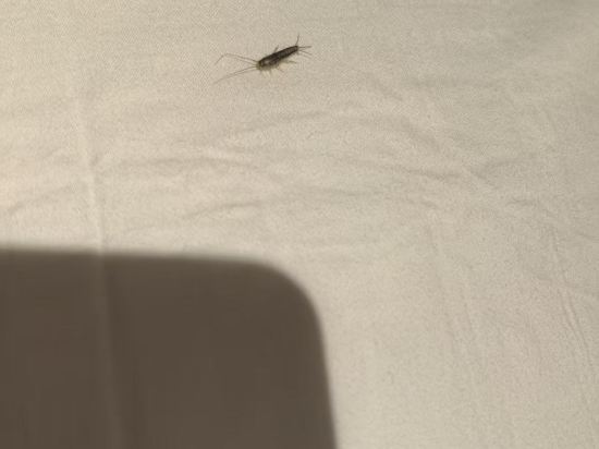 維納斯皇家酒店（佛山魁奇地鐵站店）優惠