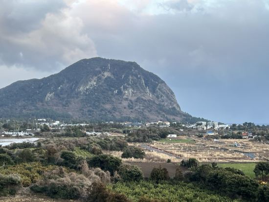 산방산 호텔 쿠폰
