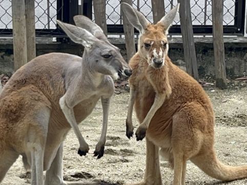 GRAND BASE 大須 クーポン