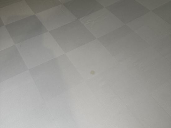 坤甸金色鬱金香飯店優惠