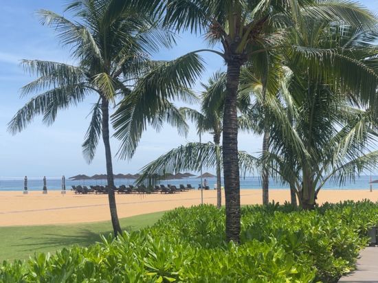 蘭珂悦椿度假村優惠