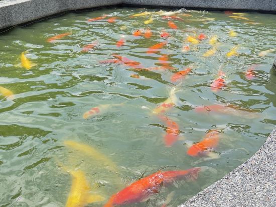 宜蘭村卻國際温泉酒店優惠