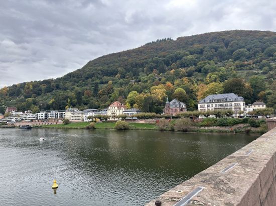 凱瑟霍夫城中心美居酒店優惠