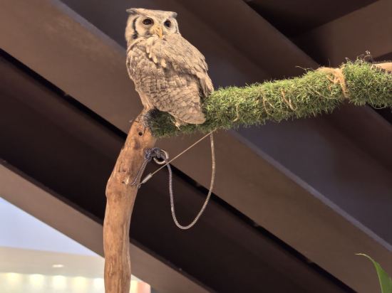 ザ・ビーチタワー沖縄 クーポン