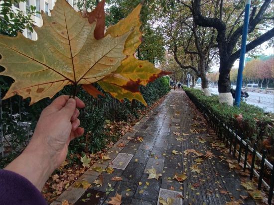 維也納國際酒店（深圳北站店）優惠