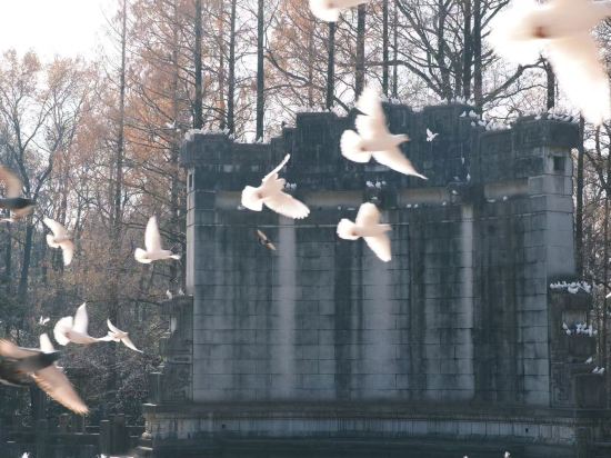 康鉑飯店（南京新街口中心店）優惠