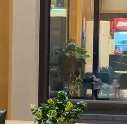 上海靜安萬楓酒店優惠