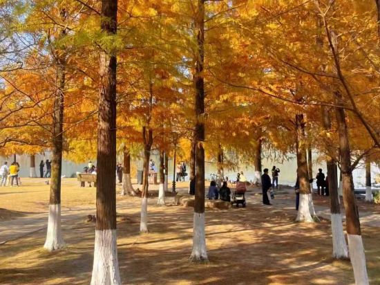 杭州西湖武林廣場蘭歐國際飯店優惠